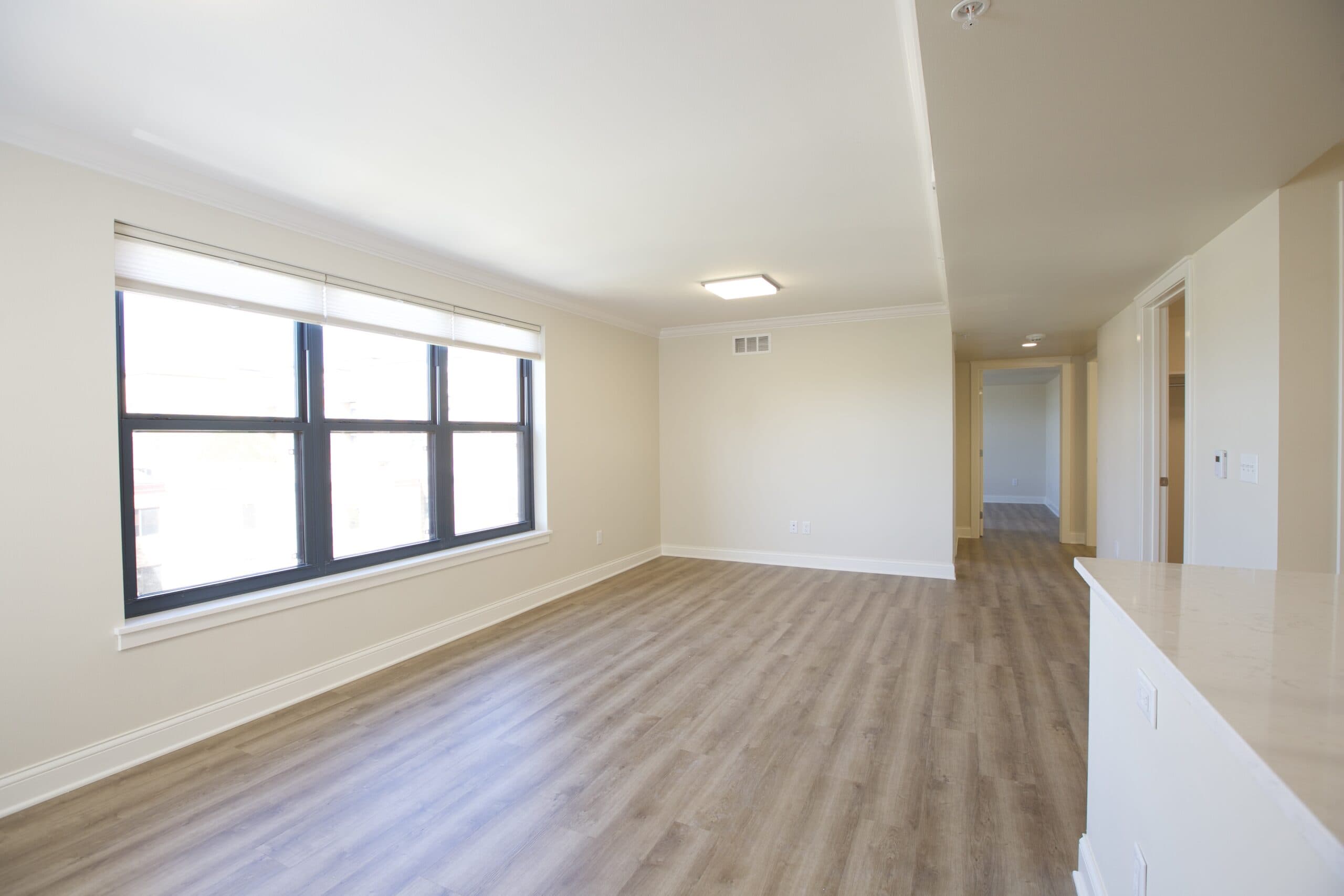 Image of an unfurnished living space.